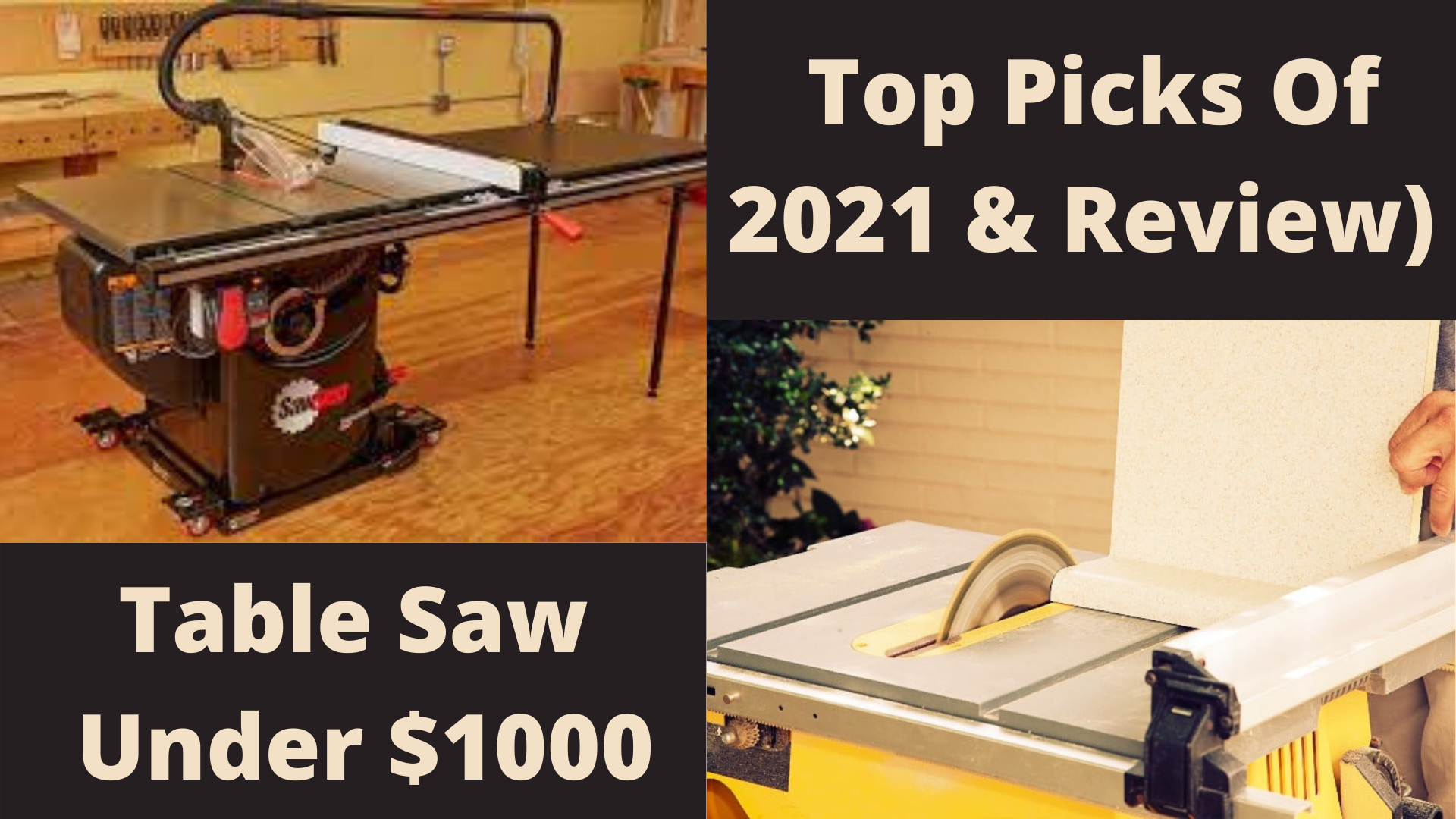 The Best Table Saw Under 1000 Dollars (2023 Review)